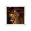 shrak1.gif