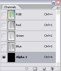 t8.jpg