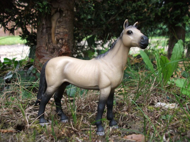 Schleich Akhal Teke