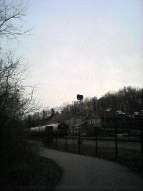 Cell4-9-08024.jpg