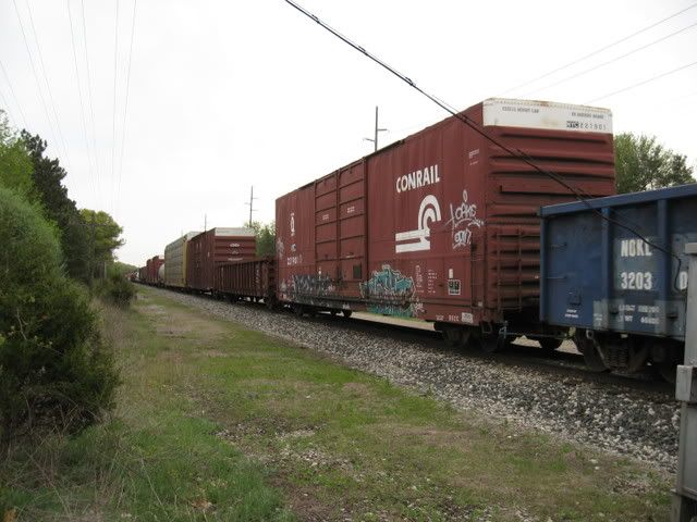 IMG_0210.jpg