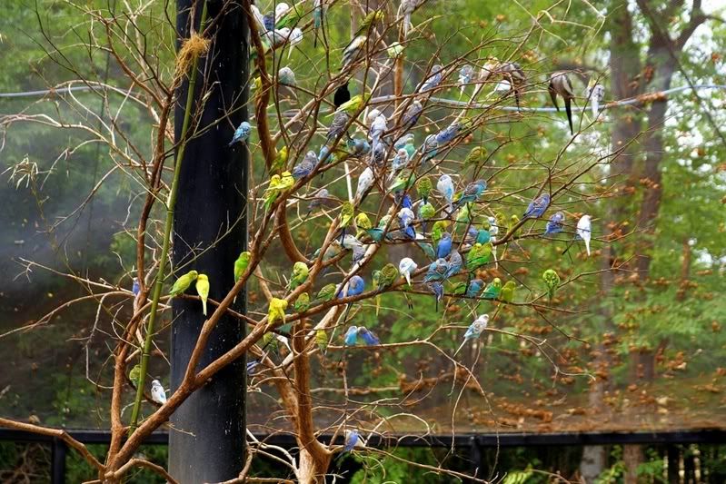 IMAGE: http://i68.photobucket.com/albums/i6/nickybegood1998/CopyofIMG_2003.jpg