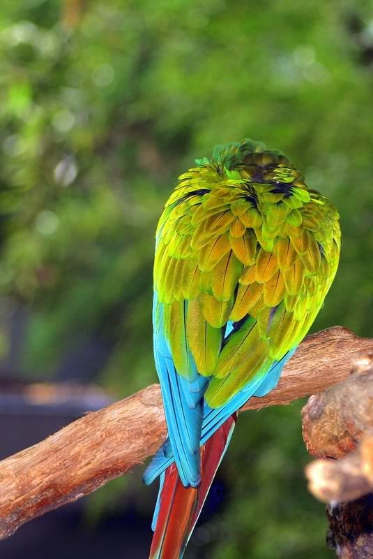 IMAGE: http://i68.photobucket.com/albums/i6/nickybegood1998/CopyofIMG_2057.jpg