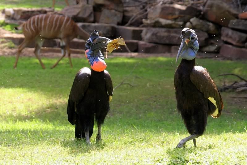 IMAGE: http://i68.photobucket.com/albums/i6/nickybegood1998/CopyofIMG_2146.jpg