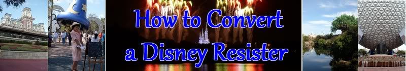 How to Convert a Disney Resister