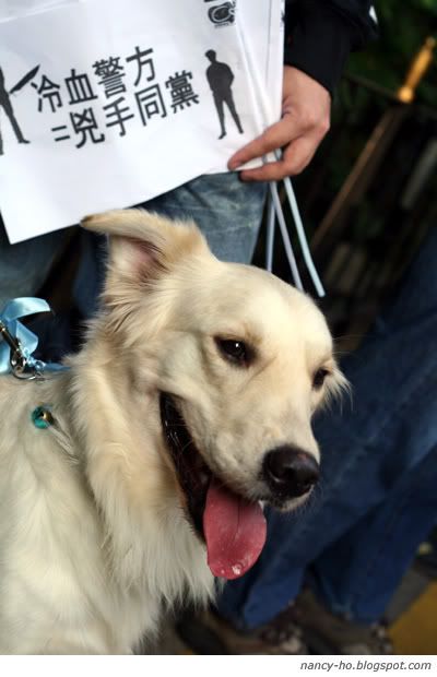 「為藍藍站起來!」關注動物權益大遊行 Against Animal Cruelty Protest in Hong Kong