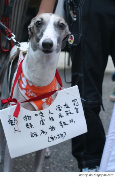 「為藍藍站起來!」關注動物權益大遊行 Against Animal Cruelty Protest in Hong Kong