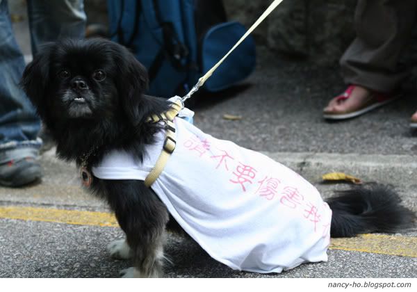 「為藍藍站起來!」關注動物權益大遊行 Against Animal Cruelty Protest in Hong Kong