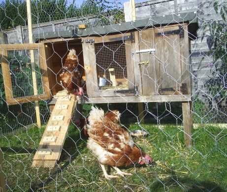 Tractor Chicken House Plans