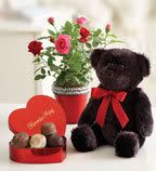 http://i68.photobucket.com/albums/i8/Chocolatelady/3105_020808_candlesandbottl_xl.jpg