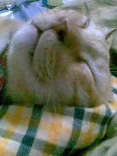 Image002.jpg