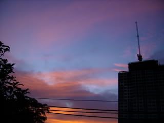 P5220035.jpg
