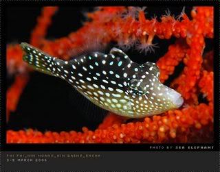 gallery_pic.jpg