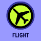 flight.gif