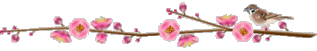 kapook_27713.gif