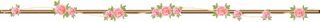 rose.gif