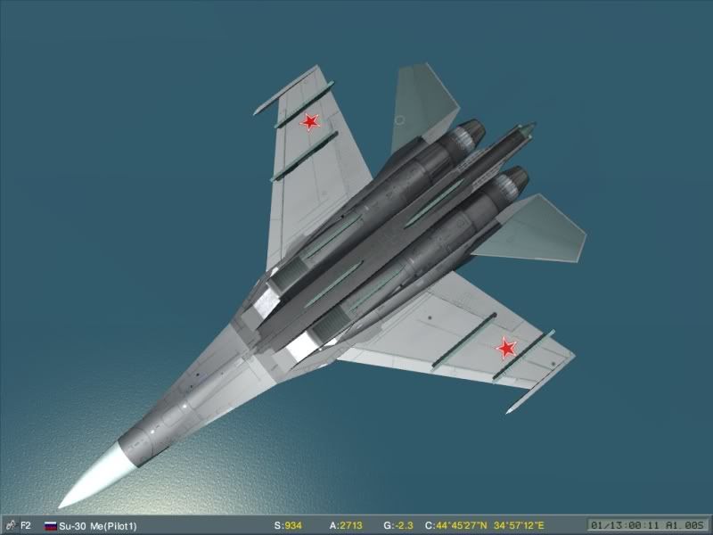su30grey.jpg