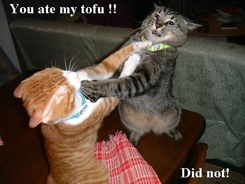 tofucats.jpg
