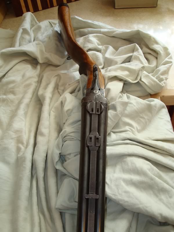 Help me become a better shooter/marksman please! - Homesteading Questions