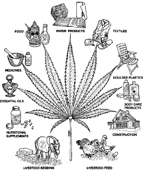marijuanasmells like sulfurgrowing in hydroponic drip system