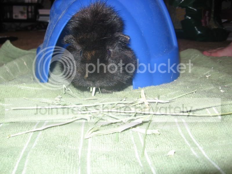 56987.jpg
