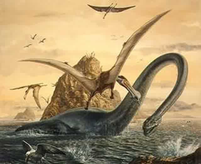 elasmosaurus.jpg image by Krystynamaria elasmosaurus.jpg image by Krystynamaria