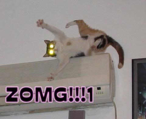 https://i68.photobucket.com/albums/i20/cbasterd420/zomg-46380.jpg