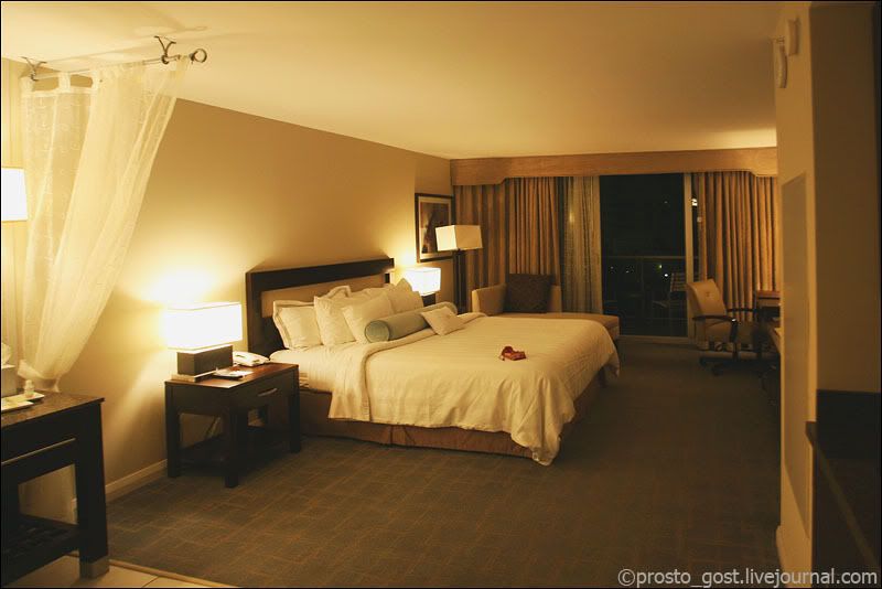 crowne plaza hollywood beach
