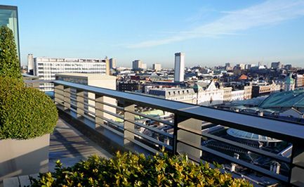 photo roof-garden-first-pic_zpsamcpgcet.jpg