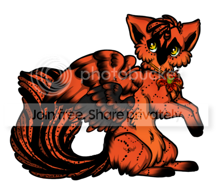 User Image