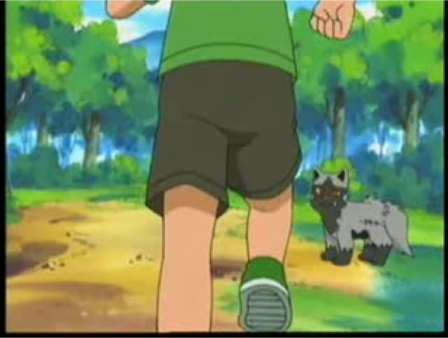 [PokeCommunity.com] ~~~/~Poochyena and Mightyena club!~~~/~