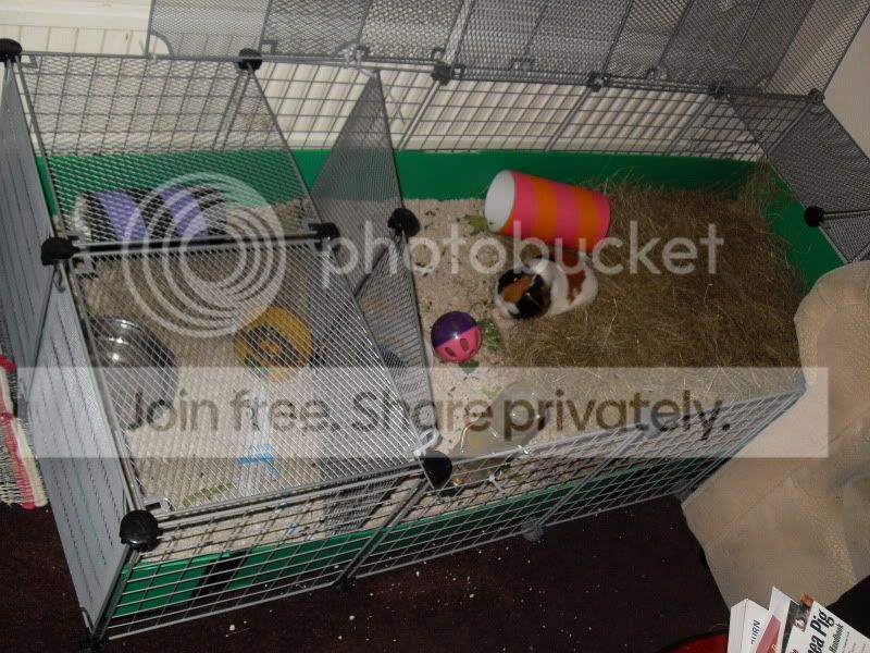 SDC10421.jpg